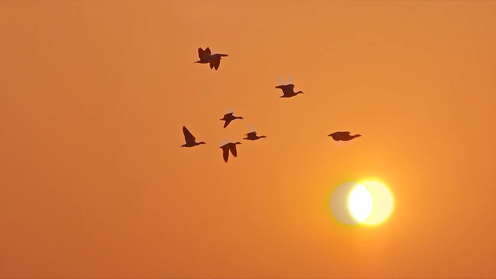 ছবিতে গ্রামের শীতের দৃশ্য