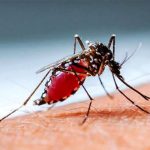 ডেঙ্গুতে আরও ২ জনের মৃত্যু, হাসপাতালে ভর্তি ৪৫৫