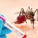 ডেঙ্গুতে একদিনে ৫ জনের মৃত্যু, হাসপাতালে ভর্তি ৩৮৭