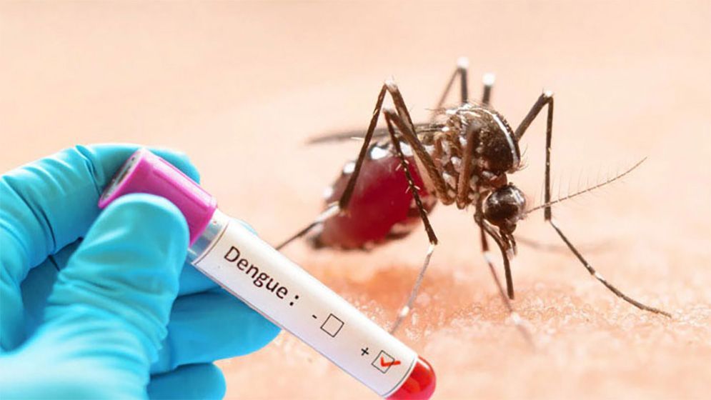 ডেঙ্গুতে একদিনে ৫ জনের মৃত্যু, হাসপাতালে ভর্তি ৩৮৭