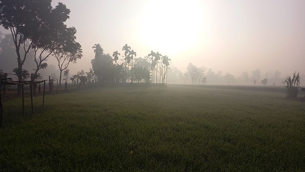 দেশের সর্বনিম্ন তাপমাত্রা আজও তেঁতুলিয়ায়, পারদ নেমেছে ৭ ডিগ্রিতে
