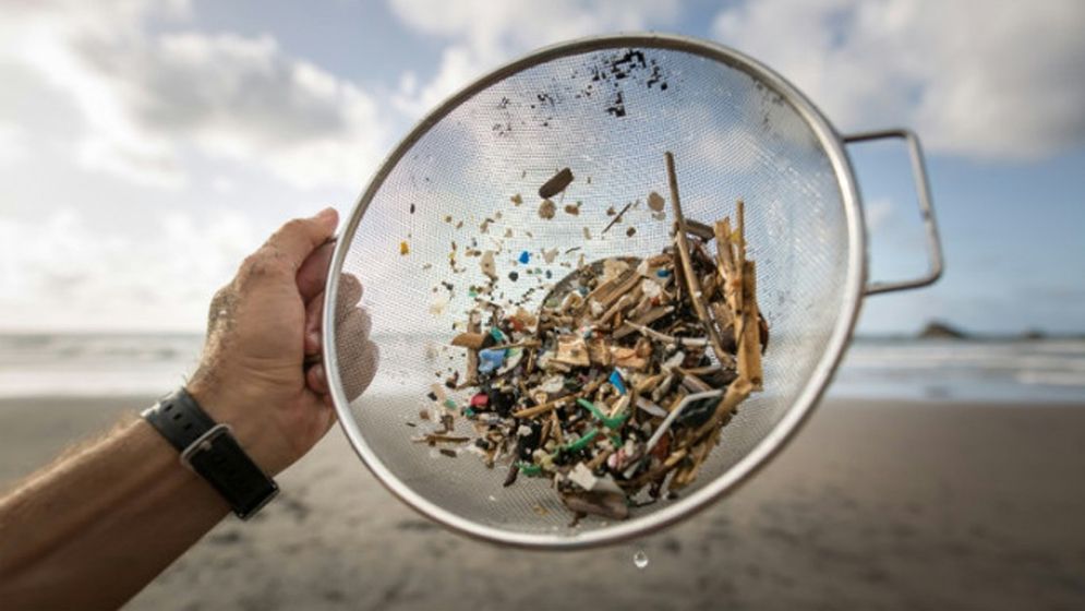 বঙ্গোপসাগরের দুই হাজার মিটার গভীরে পাওয়া গেছে প্লাস্টিক