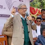 গণভোটে ‘হ্যাঁ’র পক্ষে ভোট চাইলেন মির্জা ফখরুল